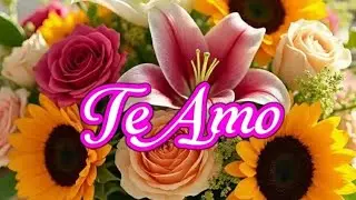 mi Reina👑Cada Día elijo Amarte como la primera vez || poema de amor para dedicar 