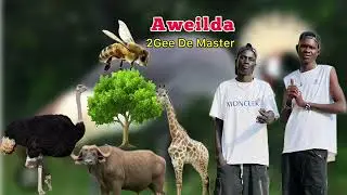 Aweilda by 2Gee De Master ~ New Song