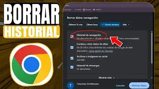 C&oacute;mo BORRAR el HISTORIAL de Google Chrome en PC (R&aacute;pido y Sin Dejar Rastro)