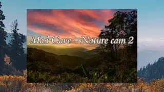 Mad Cave - Nature cam 2