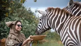 World Wildlife Day: Interview with Thomas Price, Founder of CTC Conservation in Uganda. EP 01