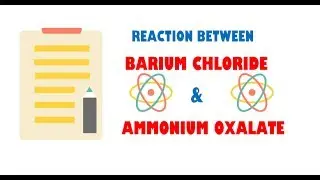 Barium Chloride and Ammonium Oxalate  ( Reaction )