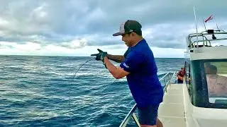 ROD BARU LANGSUNG STRIKE BABON !!! DAIWA CATALINA SJ 60B-4