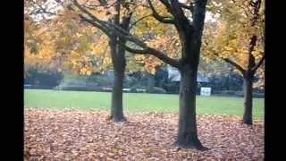 S&uuml;dpark in M&uuml;nster im Herbst