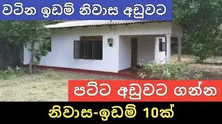 පට්ට අඩුවට ඉඩම් නිවාස 10ක් | Aduwata Idam Gewal | House for Sale | Land Sale | Ikman Selling 