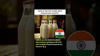 india is now the top global milk production country #india #newindia #news #milkproduction #global