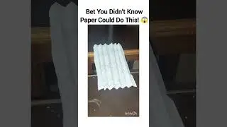 Paper vs. Physics &ndash; Who Wins? 🪶⚡😱#ViralExperiment #PhysicsHack #PaperTrick #ScienceShorts #LifeHack