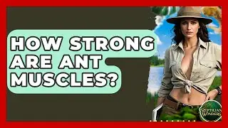 How Strong Are Ant Muscles? - Reptilian Wonders