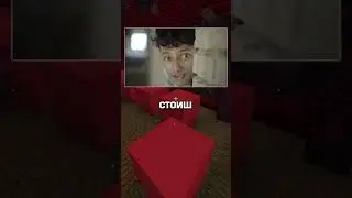 ДИЛЕМАТА С ВЛАКА
