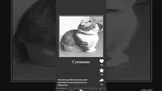 Когда меня забанили