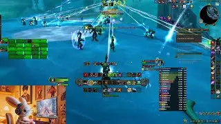 World of Warcraft: TWW Pre-patch gameplay, BM hunter pov