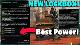 Neverwinter Mod 24 - BEST New MOUNT 19% DAMAGE! NEW Myconid LOCKBOX & NEW Companion!