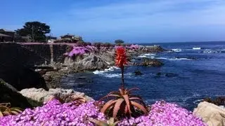 Pacific Grove Beach & Cannery Row