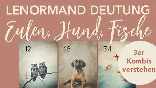Eulen, Hund & Fische im Lenormand &ndash; So deutest Du die 3er Kombination richtig!