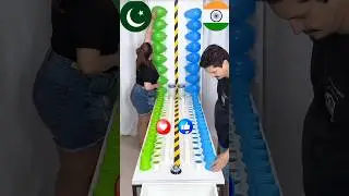 India Vs pakistan 🤯 who Will win 😱🇱🇷