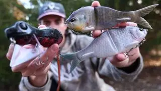 These Swimbaits will Change How I Catch Fish in 2026!