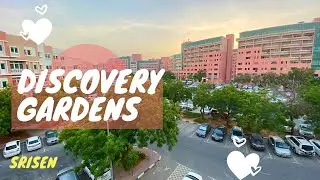 DISCOVERY GARDENS DUBAI IN TAMIL | Best residential area in Dubai| Street Walk
