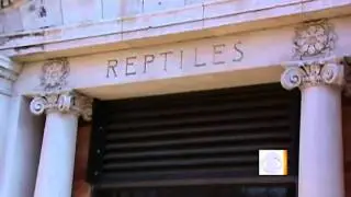 Missing Bronx Zoo cobra found