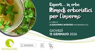 Rimedi erboristici per l'inverno // Esperti in erbe 2026