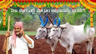 మా ఊరి ఎడ్ల పొలాల పండగ చూడవలసిందే