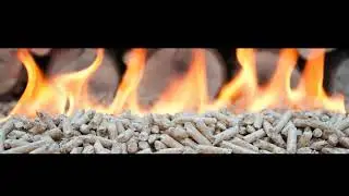 Global Wood Pellet Heating Systems Market 2021