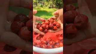 Mouth Watering Boroi (Plum) Makha 🤤 | #shorts #food #fruit #masala