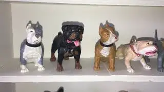 Hood Hounds Dogs collection. March 4, 2019