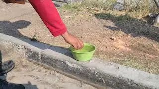 prueba de efectividad polvo qu&iacute;mico seco servintel