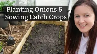 Planting Onions & Direct Sowing The Polytunnel With Catch Crops