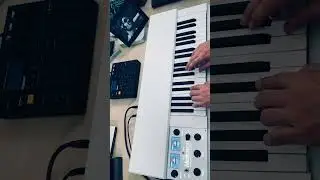 Mellotron Famous Sounds - The Beatles  #mellotron #beatles #sound
