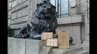 SilverLion Homepage