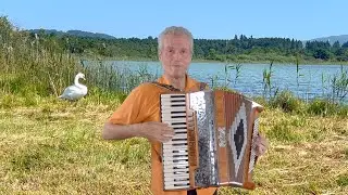 Angelique am Akkordeon von Gottfried Kletzmair