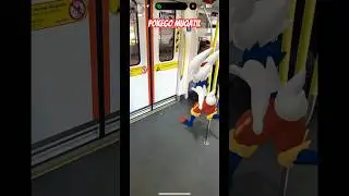 Cinderace happy take a train 🥰 #pokegomuqatil #pokemongo #cinderace #cinderace