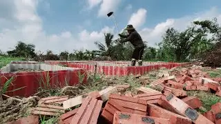 60 Days | What I Achieved from the Abandoned Land