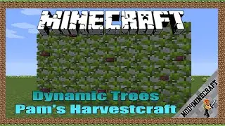 Dynamic Trees - Pam's Harvestcraft Compat 1.12.2 & Tutorial Downloading And Installing For Minecraft