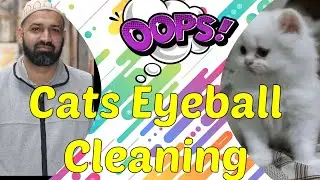 Cat eyeball cleaning | Clean web dust layer from cat eye | Eyeball dust cleaning | Hairs on eyeball