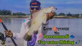 Barramundi fish cache #बारामुंडी #जीताडा मछली #Top water fhising #video #like and subscribe 🔔🙏