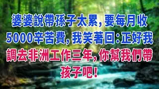 婆婆說帶孫子太累，要每月收5000辛苦費，我笑著回：正好我調去非洲工作三年，你幫我們帶孩子吧！