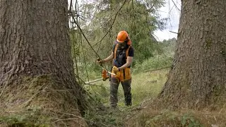 Apprenticeships | Forestry and Land Scotland