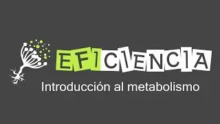 INTRODUCCIÓN AL METABOLISMO. Catabolismo Anabolismo Autótrofos Heterótrofos