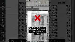 Excel tip paste visible cells only