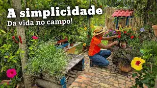 VIDA NA ROÇA - UM JARDIM QUE TRASNBORDA COR E ALEGRIA 