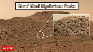 NASA Found Something Strange on the Surface of Mars | MartinoSol TV