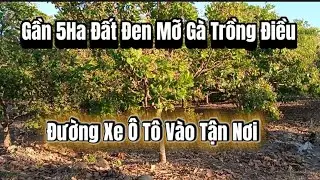 Gần 5 Ha Đất Đen Mỡ Gà , Gần Đường Lộ, Xe Ô Tô Vào Tận Nơi 