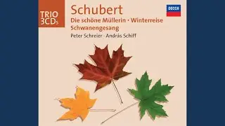 Schubert: Die schöne Müllerin, D.795: 16. Die liebe Farbe