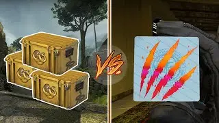 Stickers Vs Cases Debate - Operation Broken Fang Investments