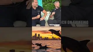 Дельфин прерывает Эдди Хирна и Карла Фроча 🐬😂