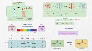 Redox, Acid-Base and Rearrangement Reactions | Addition, Elimination, Substitution Biochemistry