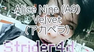 ギタリストが歌ってみた Alice Nine.(A9)  /  Velvet (ヴェルヴェット) アカペラ