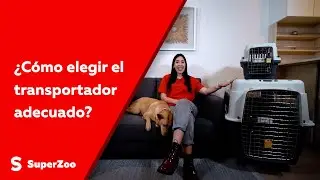 ¿Cómo elegir el transportador adecuado?